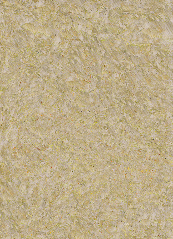 Turtle (tgrntrpclstrm),  2010
C – Print
55" x 40"