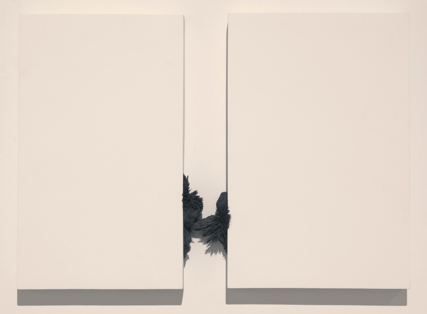 Alwar Balasubramaniam
Untitled | 2009
Fiberglass, magnet, wood, acrylic and rust
18.25" x 26.75" x 2.25"
TG 2066