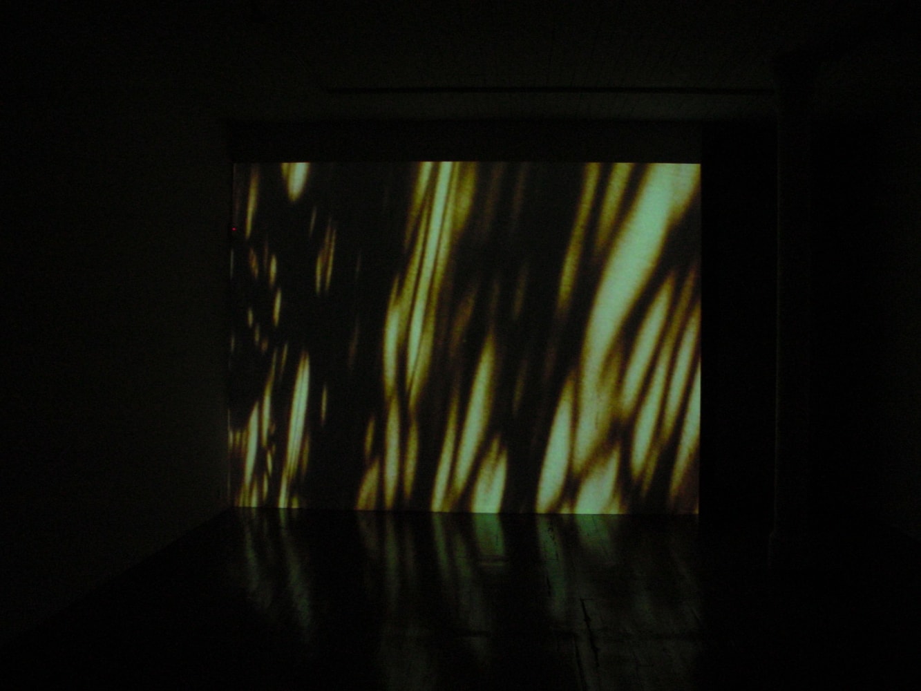 Exhibition View