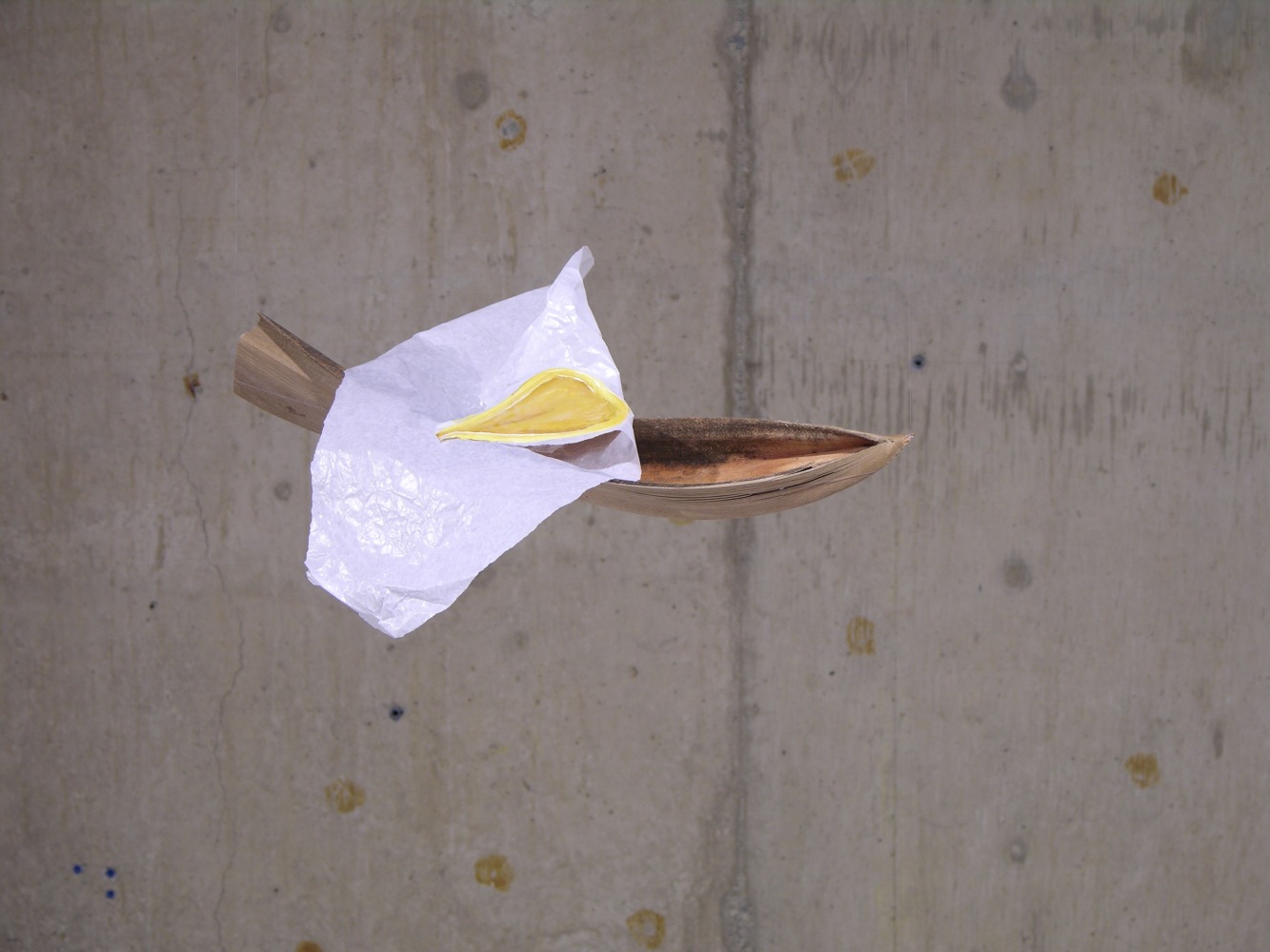 Container and Content 1 (Detail)