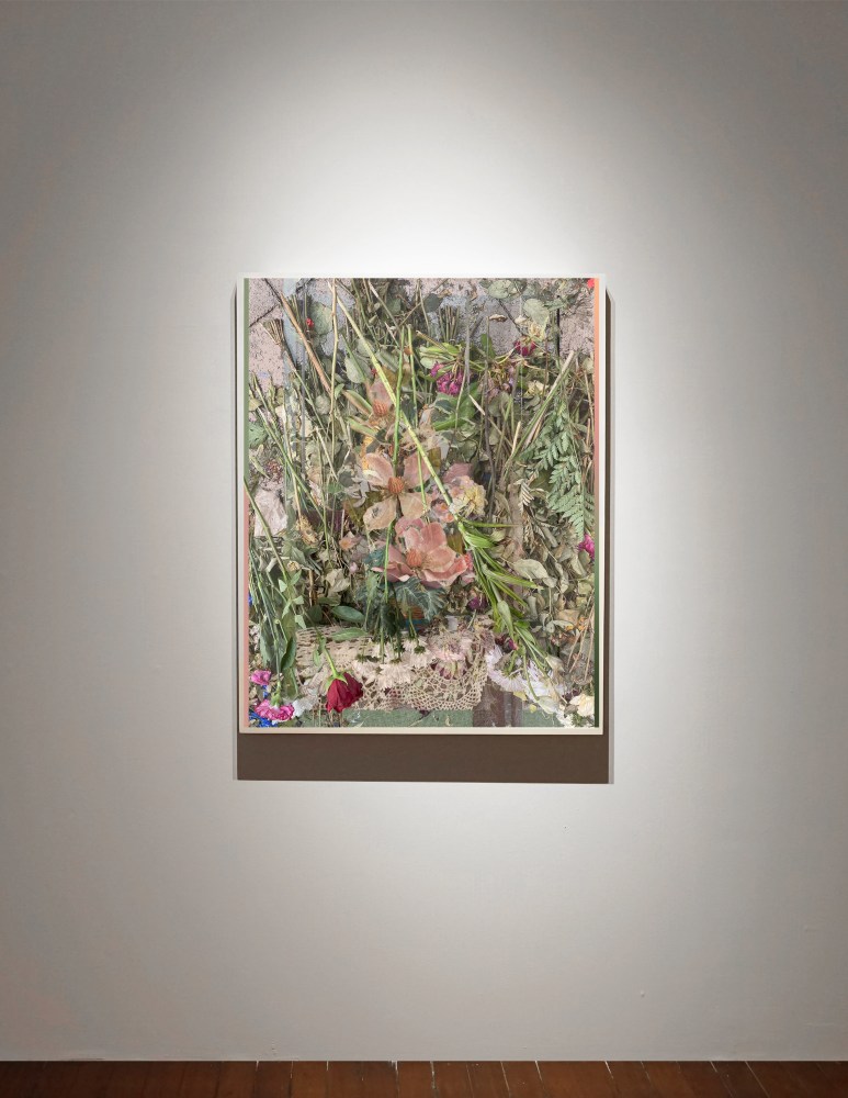 A Condensation of Blood #5, 2023