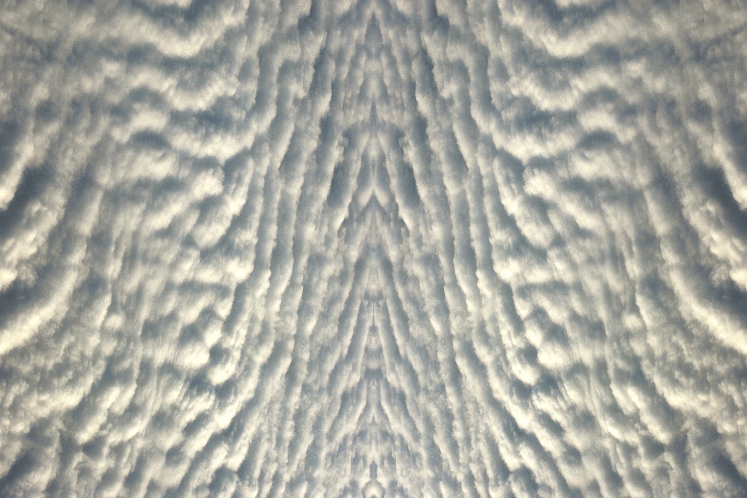 Divine5884, 2007
C Print
19 3/4" x 29 3/4"