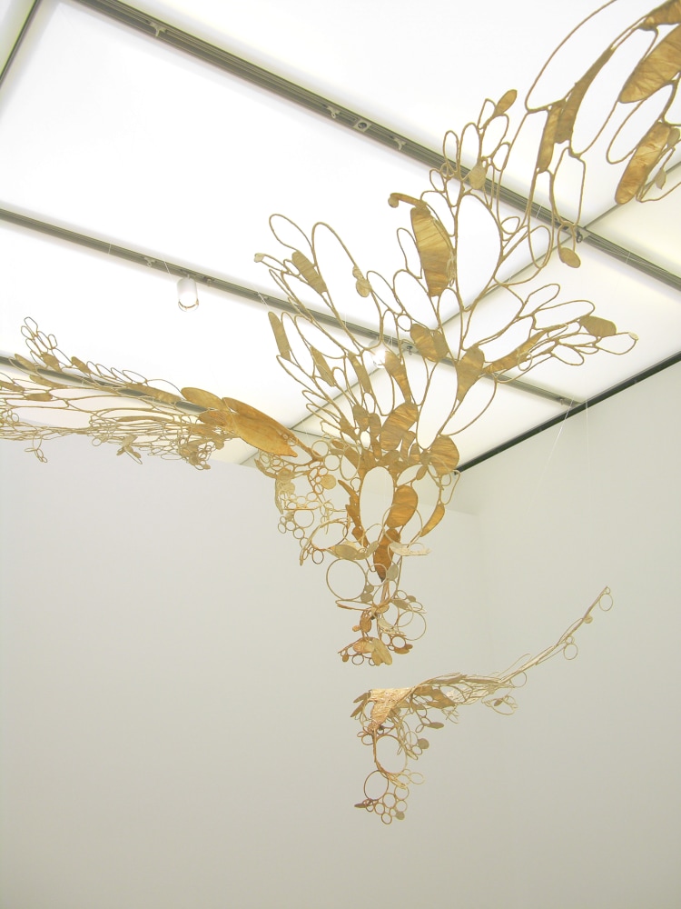 Sun-sneezers blow light bubbles, 2007-2008 (Detail)