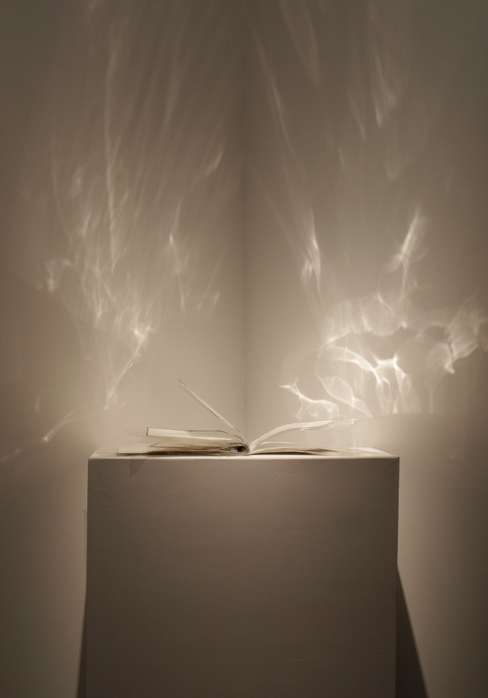 Do It Like This, 2010
Gouache, cotton thread on paper, plastic sheets
15" x 24"