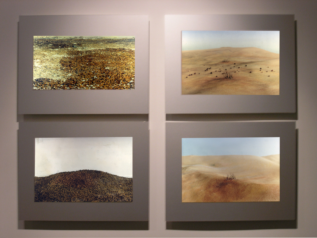 Allan deSouza
Terrains, 1999-2000
C Print on Aluminum
18 1/2" x 24" (Each of 4)
