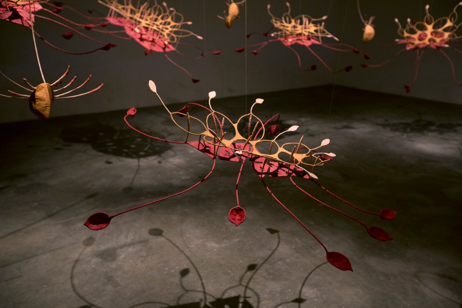 Seven ponds and a few raindrops, 2017