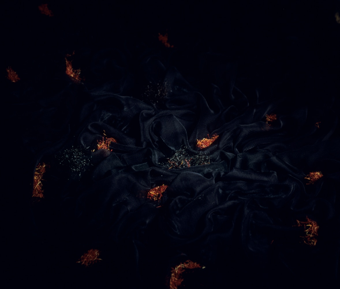 Harsh Pubic Hair, 1998
Lightbox
33" x 40"