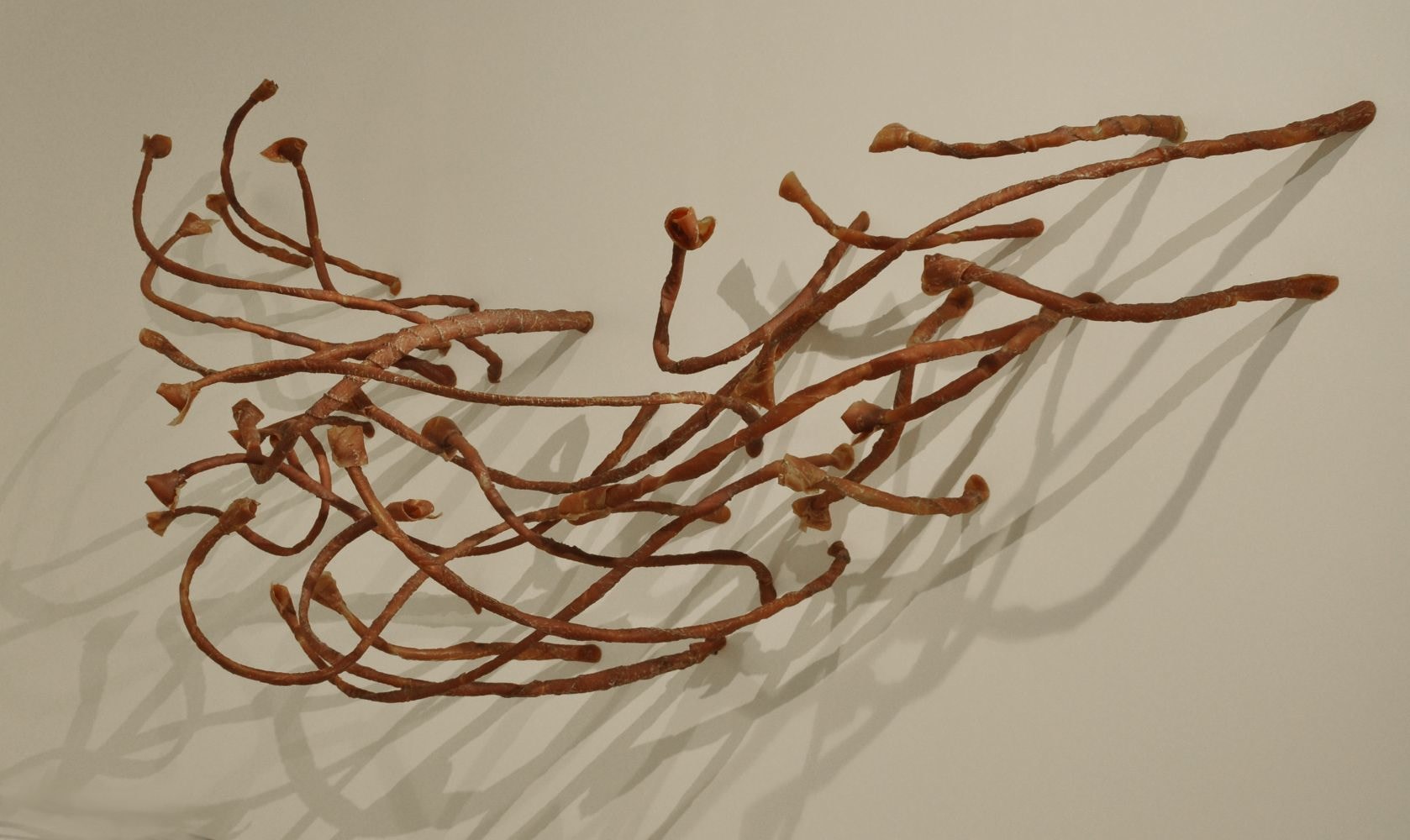 Heliotropes, 2005-2011 