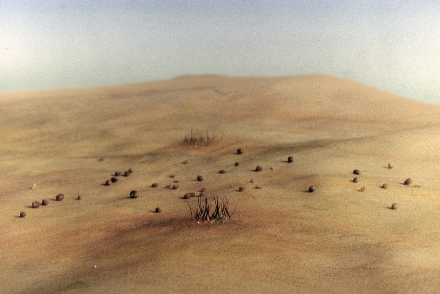 Allan deSouza
Terrains #8