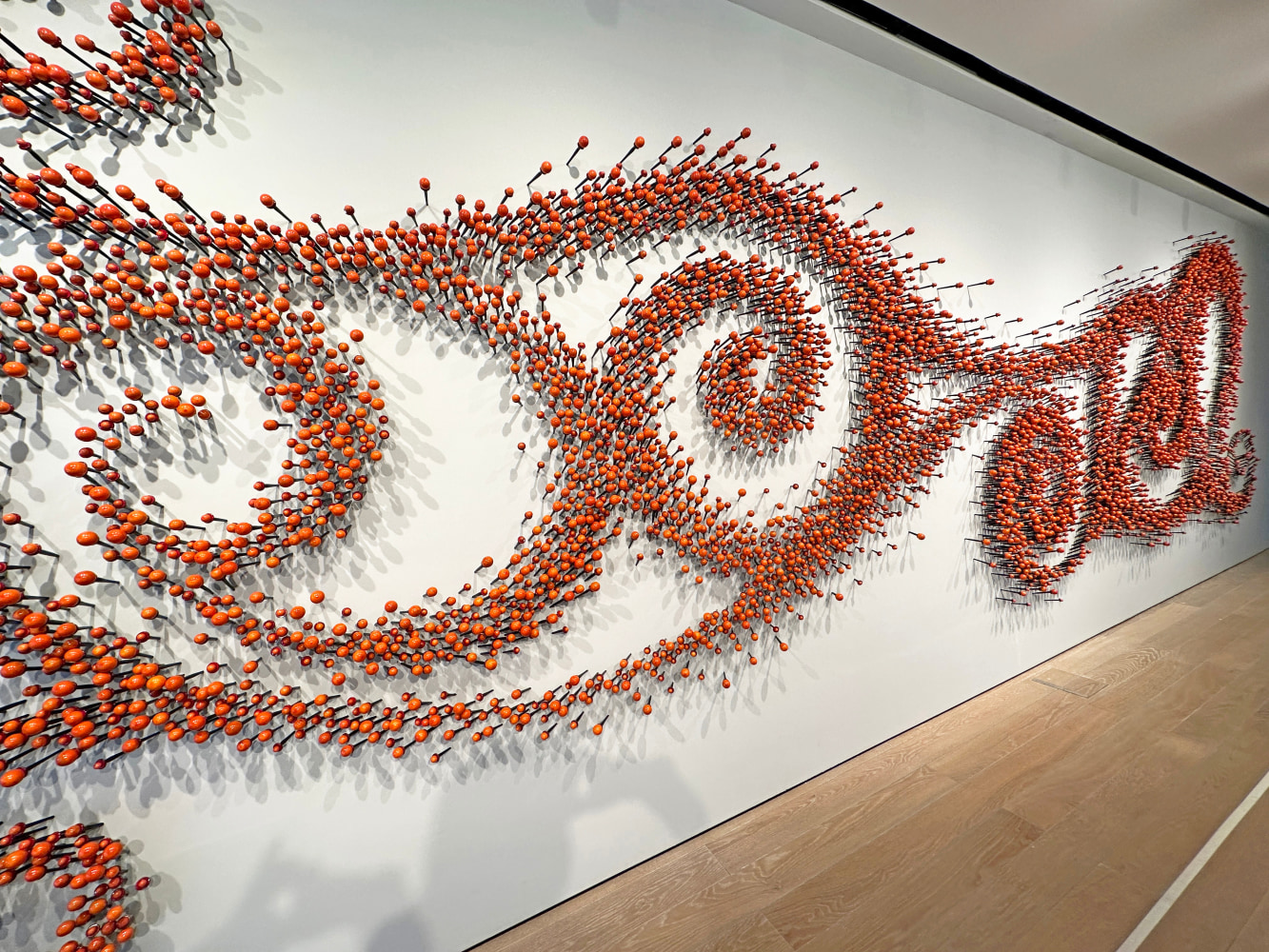 Sundew&amp;nbsp;| Detail