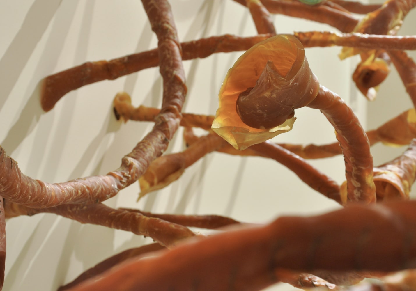 Heliotropes, 2005-2011 (Detail)