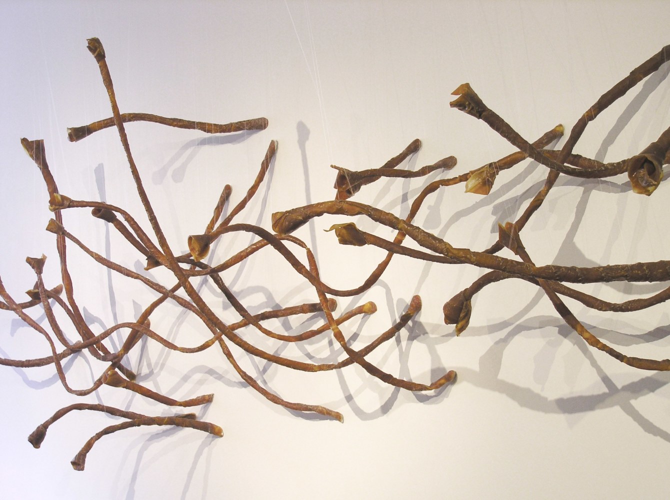 Heliotropes 
Installation View | Talwar Gallery, New York | 2006