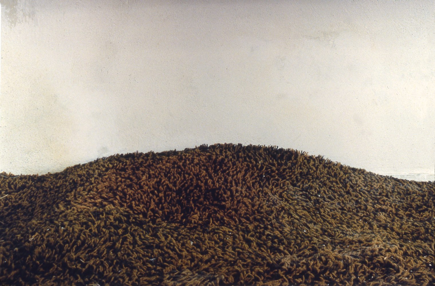 Allan deSouza
Terrains #1