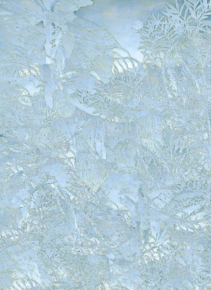 Polar Sky (fghtbtwntgrnbffl), 2010
Digital C-Print
55" x 40"