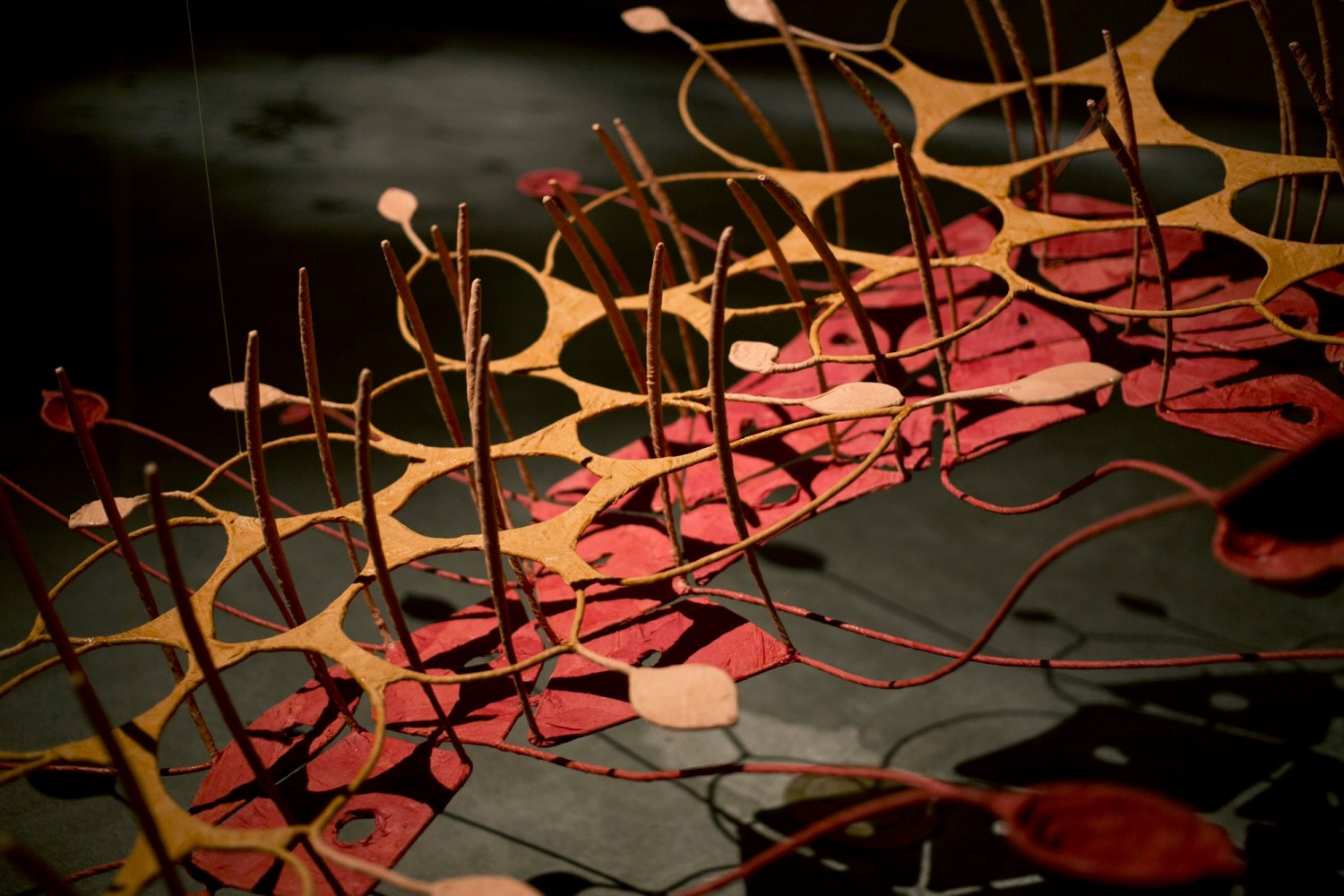 Seven ponds and a few raindrops, 2017