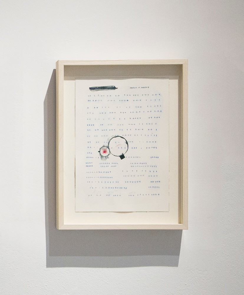 Anjum F746047, 2015
Watercolor pencil on paper
13" x 9 3/4"