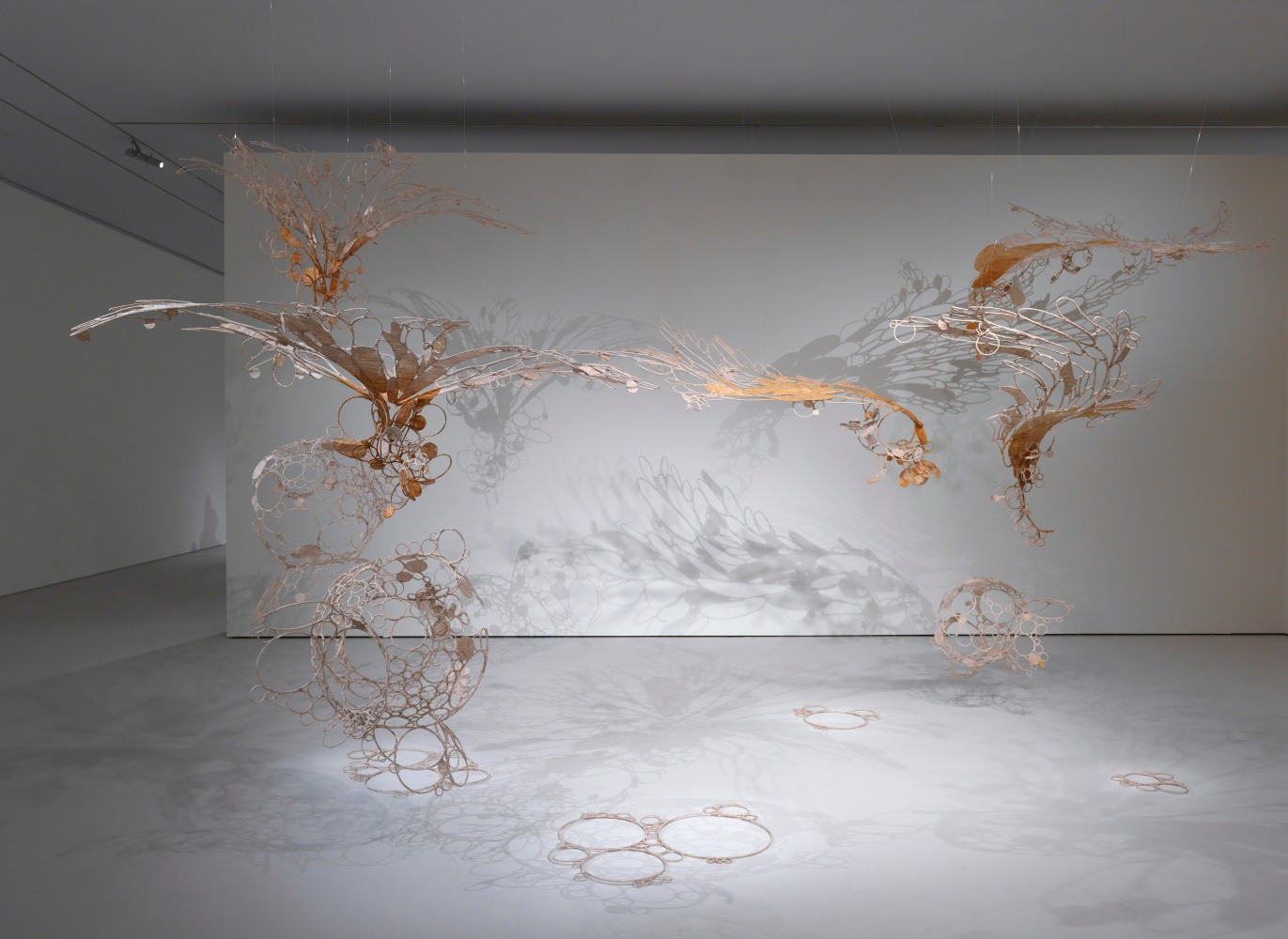 Sun-sneezers blow light bubbles,&amp;nbsp;2007-2008