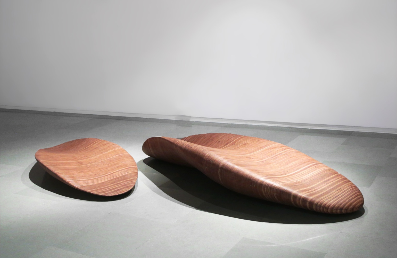Withhold, 2017
Wood
75" x 32" x 8.5" & 101" x 39" x 16" 