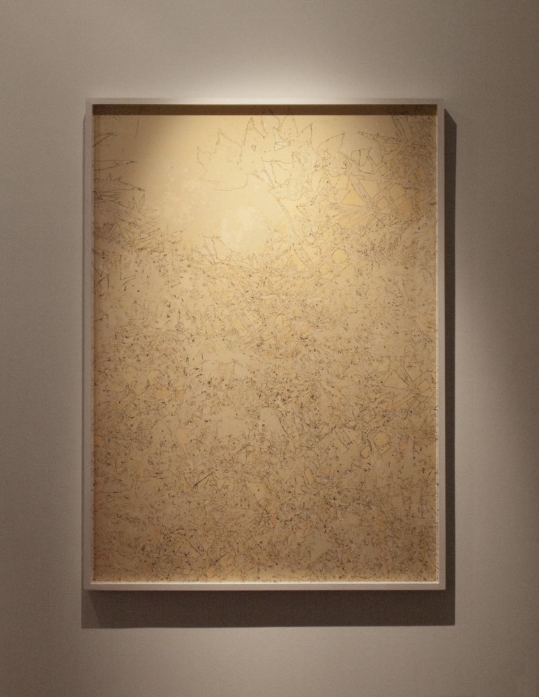 Mango (mrcnndnstrgglngwthgrll)