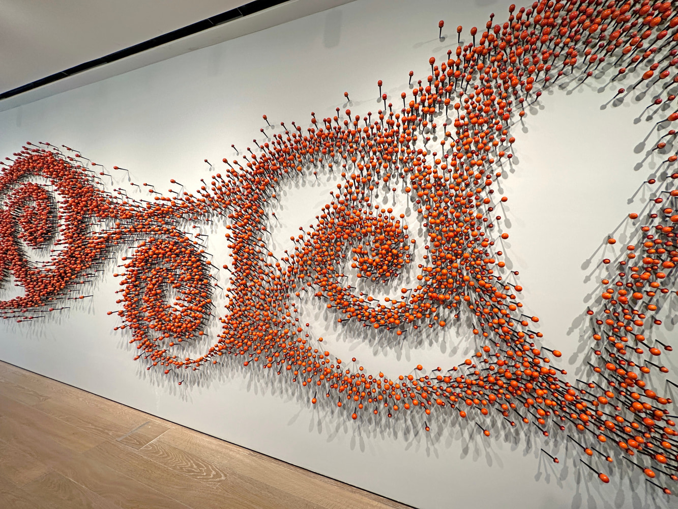 Sundew&amp;nbsp;| Detail