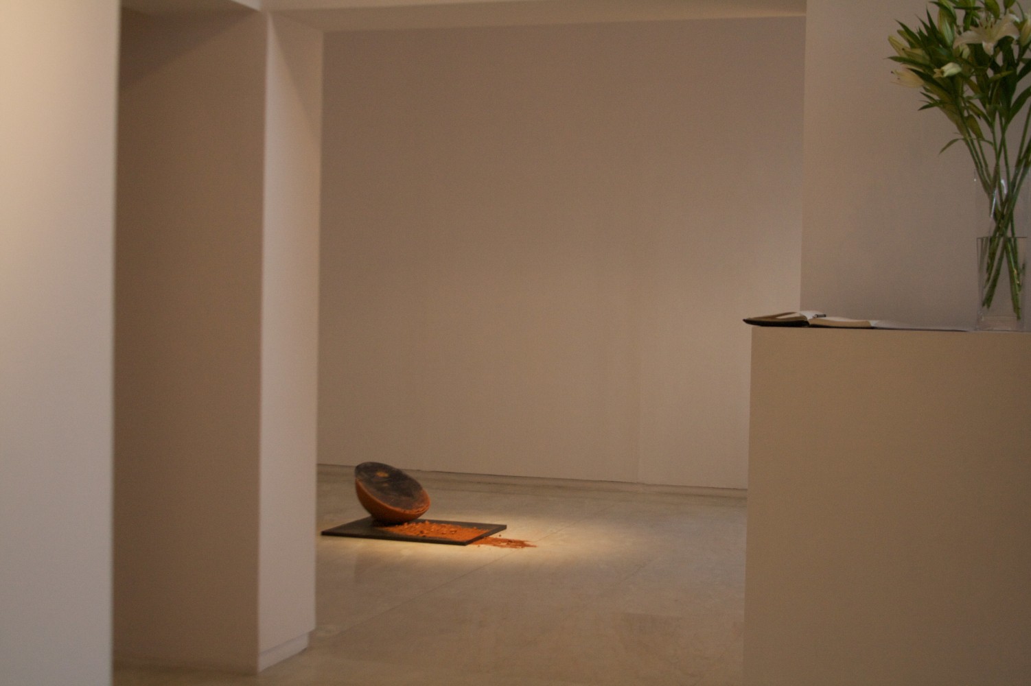 Exhibition View