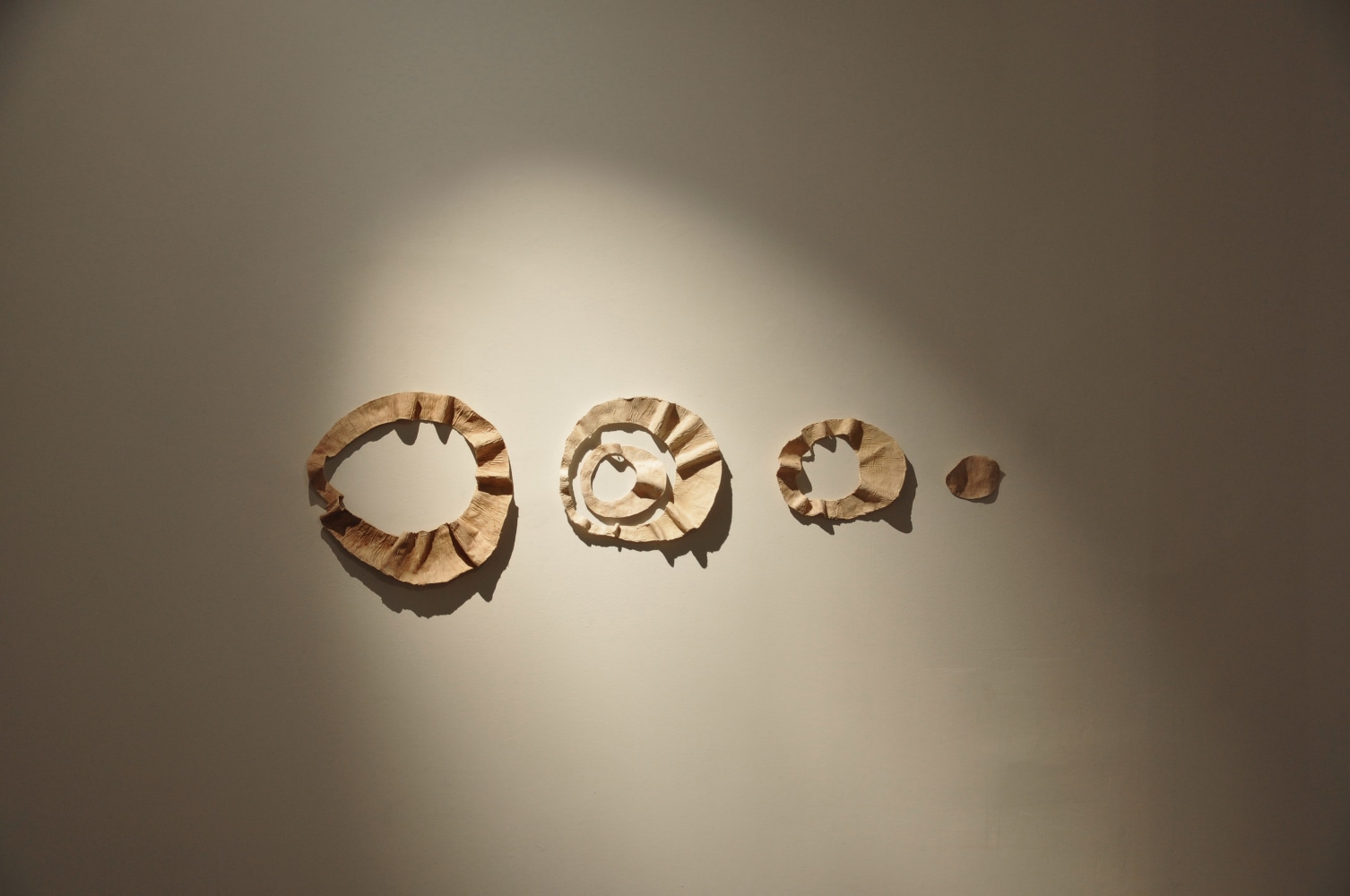 Leap, 2009
Muslin on canvas and tamarind kernel 
15" x 56"