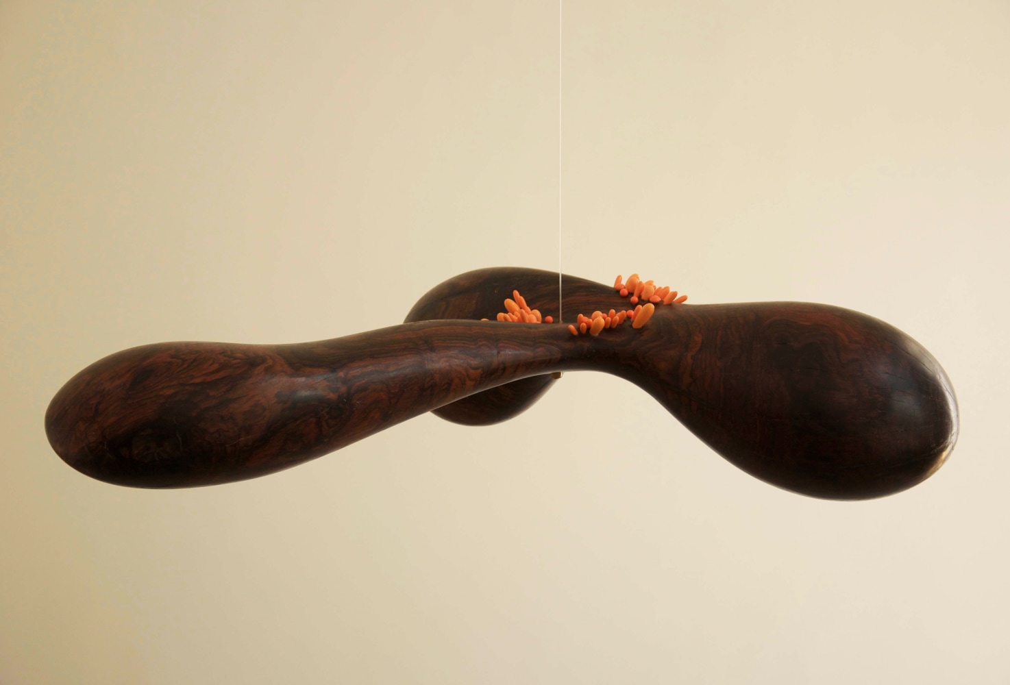 Remanence from last night's dream, 2011-2016
Carved rose wood, lacquered wood and pigments
72" x 50" x 35"