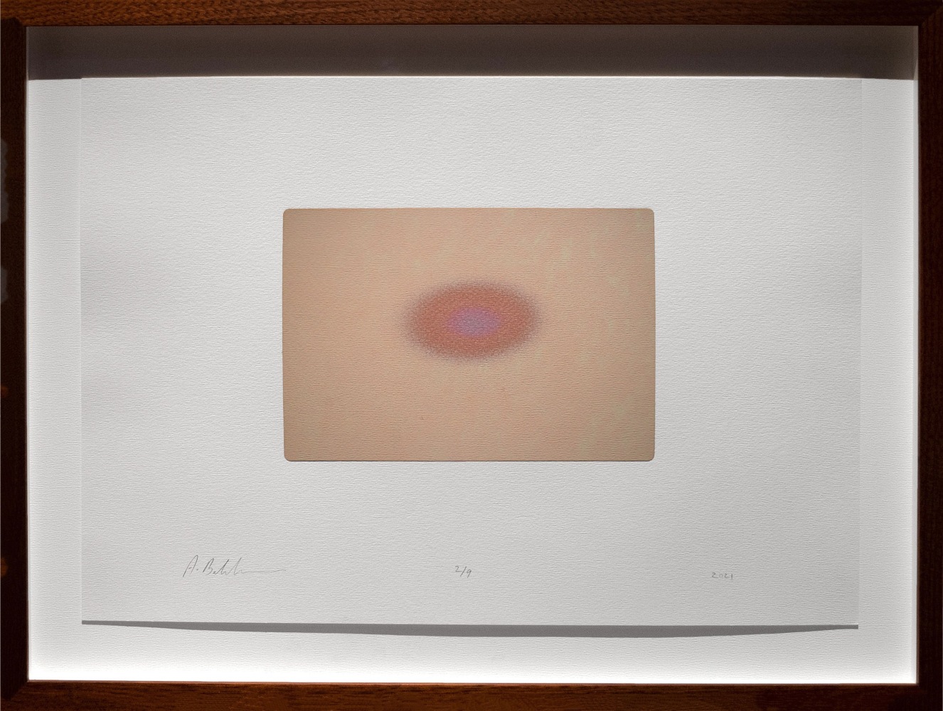 Alwar Balasubramaniam
L.S. XII, 2021
Silkscreened earth
Edition of 9
Paper 11.75” x 16.5” | Image 5.5” x 7.5”
Framed 15” x 19.5”
TG# 4388