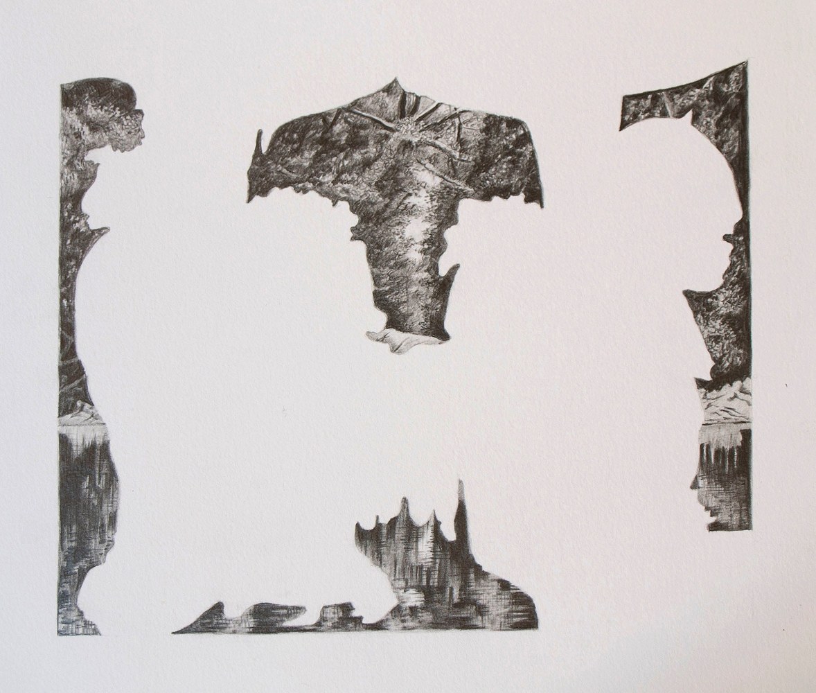 Leopard,&amp;nbsp;2013 (Detail)