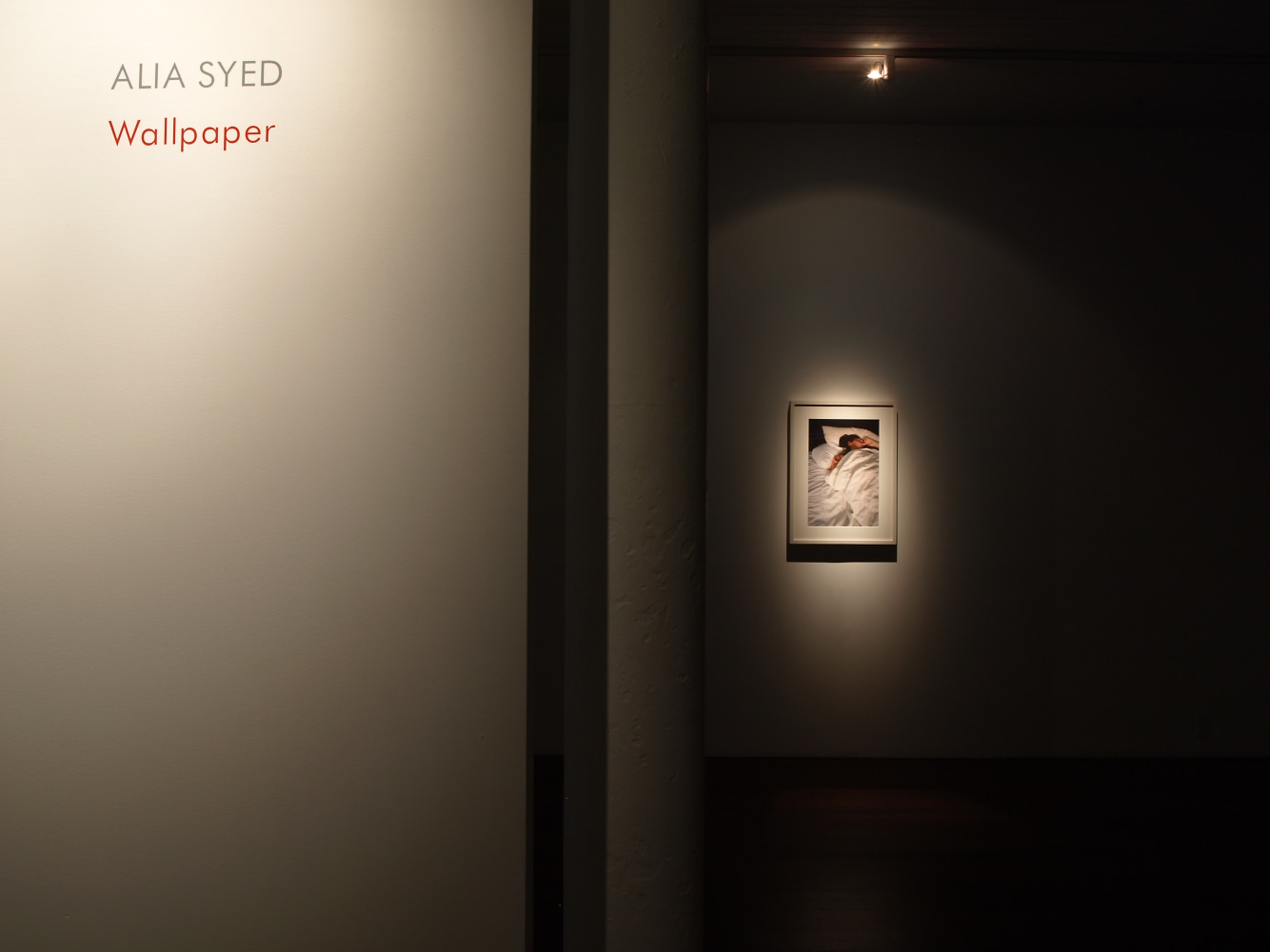 Exhibition View