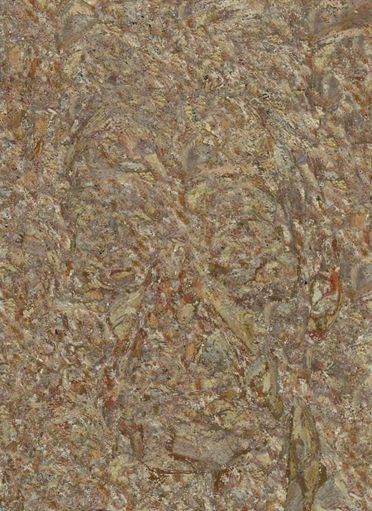 Freud, 2010
C – Print
17" x 13"
 