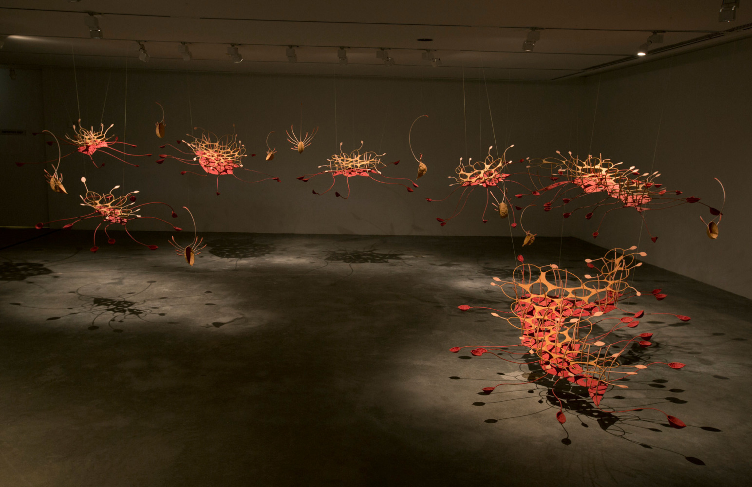 Seven ponds and a few raindrops, 2017