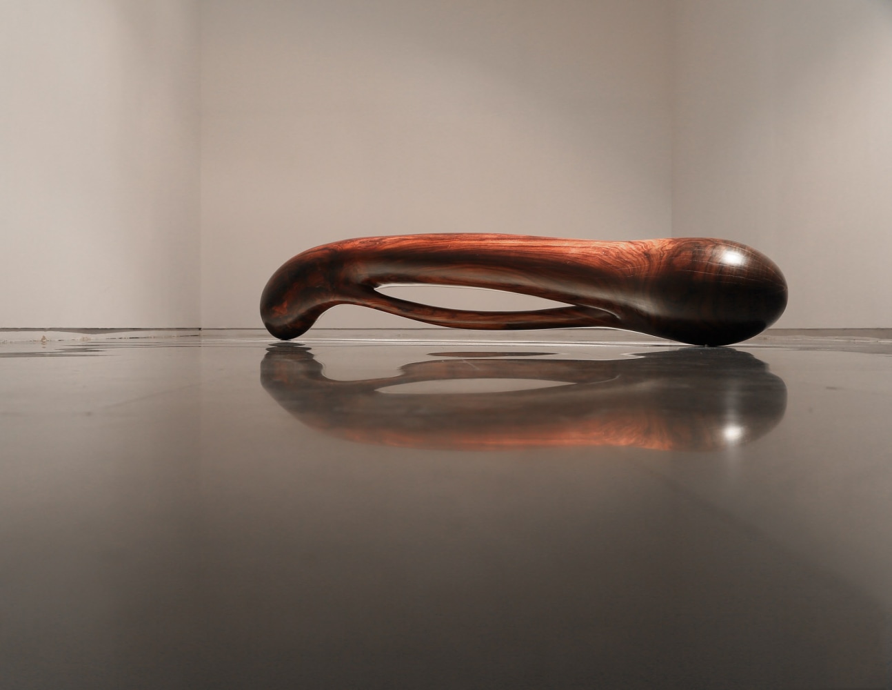 Torque, 2013-14
Rosewood
97” x 18” x 13”