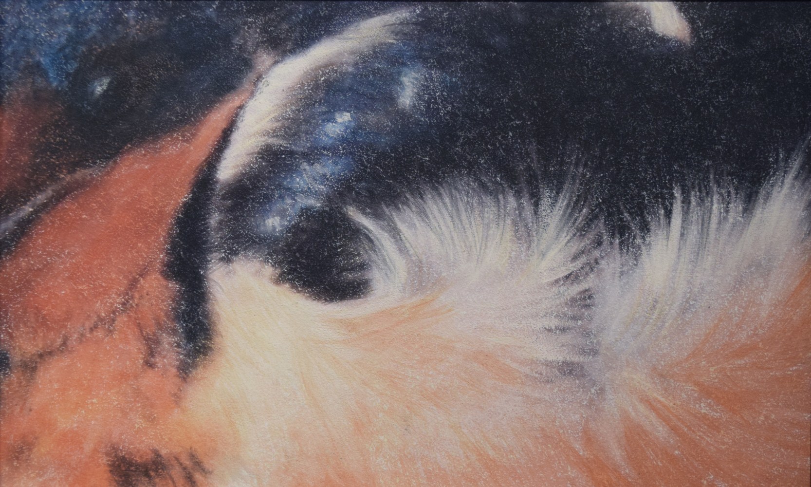 Untitled (detail)