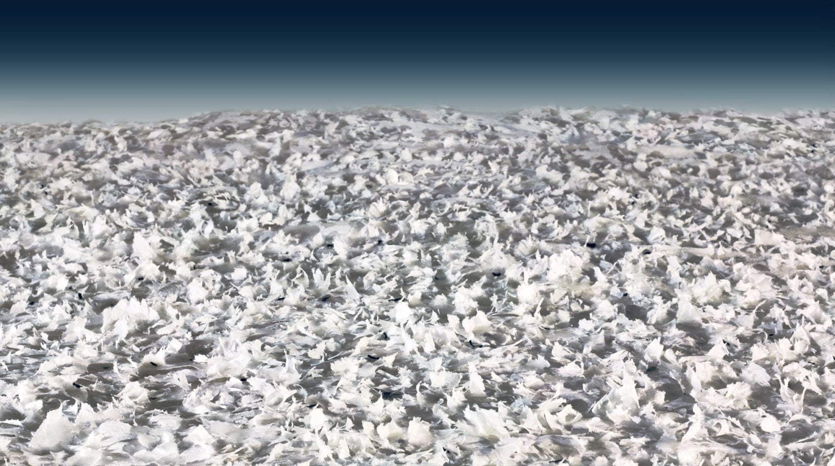 believing it all without the slightest shred of evidence, 2003
C-Print on Aluminum
43” x 24”
