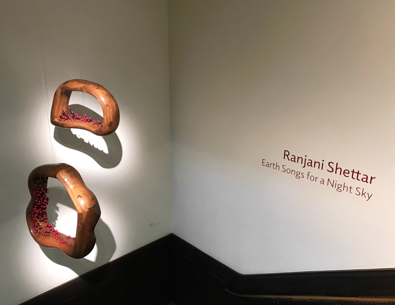 RANJANI SHETTAR