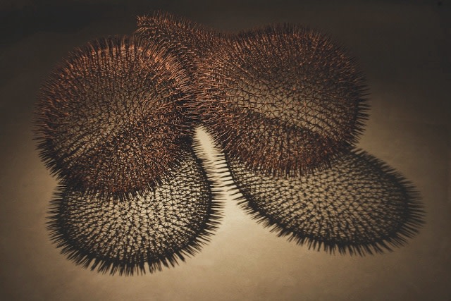 Oomph, 2009