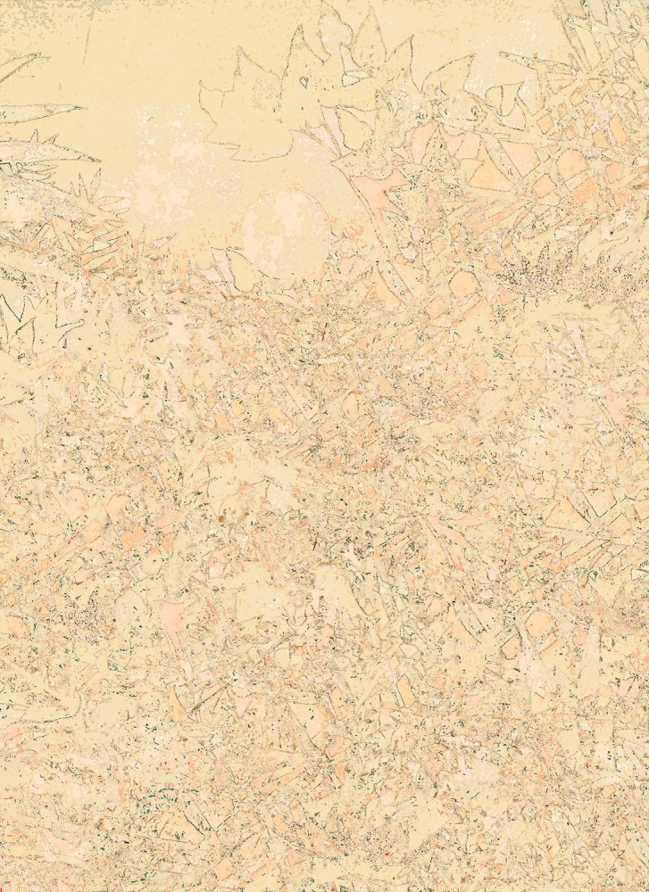 Mango (mrcnndnstrgglngwthgrll), 2010
Digital C-Print
55" x 40"