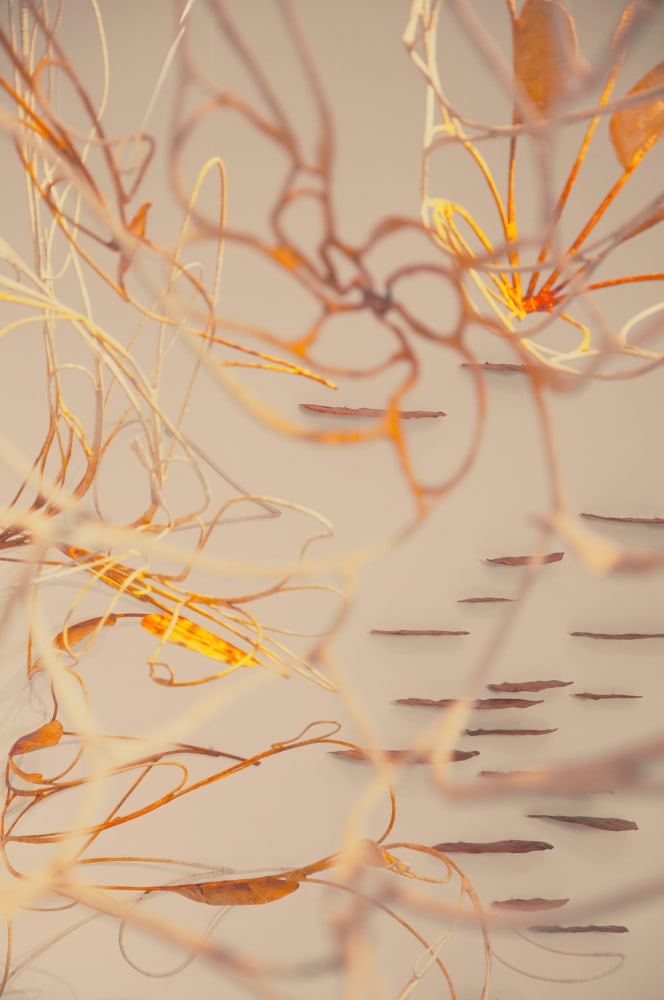 Scent of a Sound (Detail)