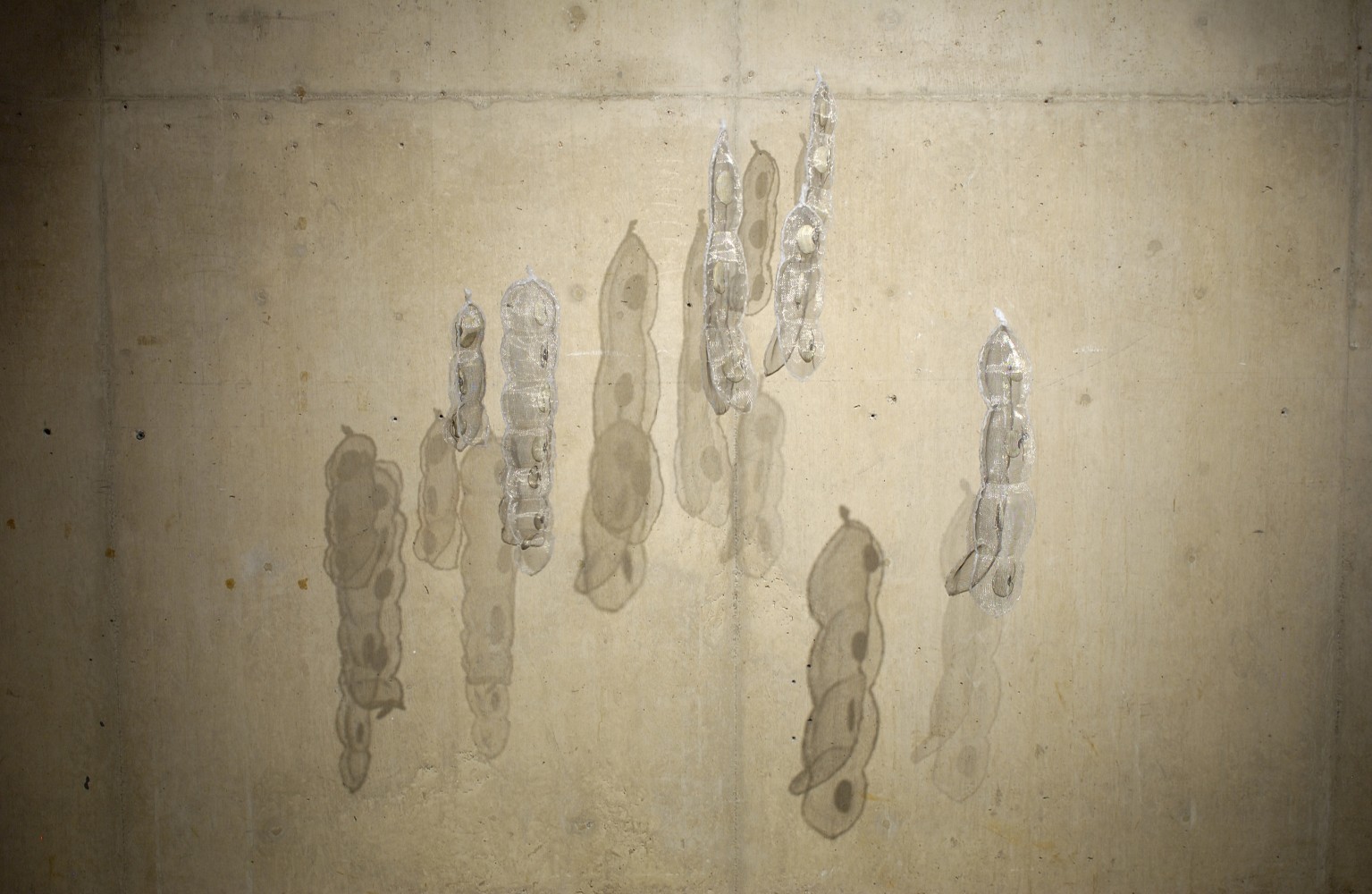 Ranjani Shettar
Container and Content 2,&amp;nbsp;2000
Sawdust, steel mesh, hay, synthetic resin, string, lime
39&amp;Prime; x 48&amp;Prime; x 64&amp;Prime;