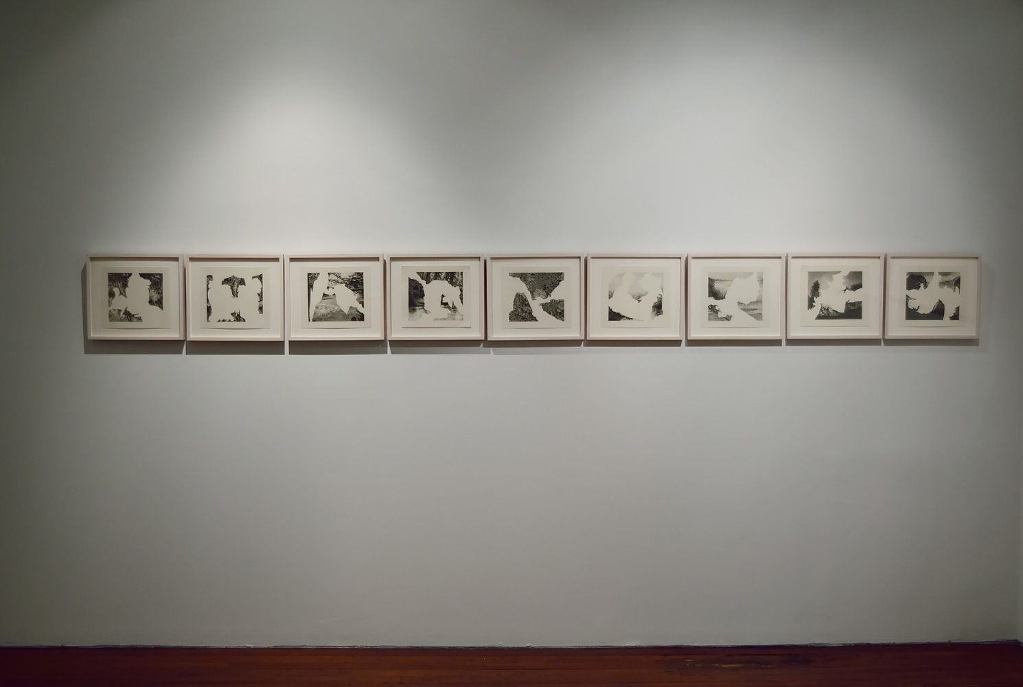 Leopard,&amp;nbsp;2013
Graphite on paper
10&amp;Prime; x 11&amp;Prime; (Each of 10)