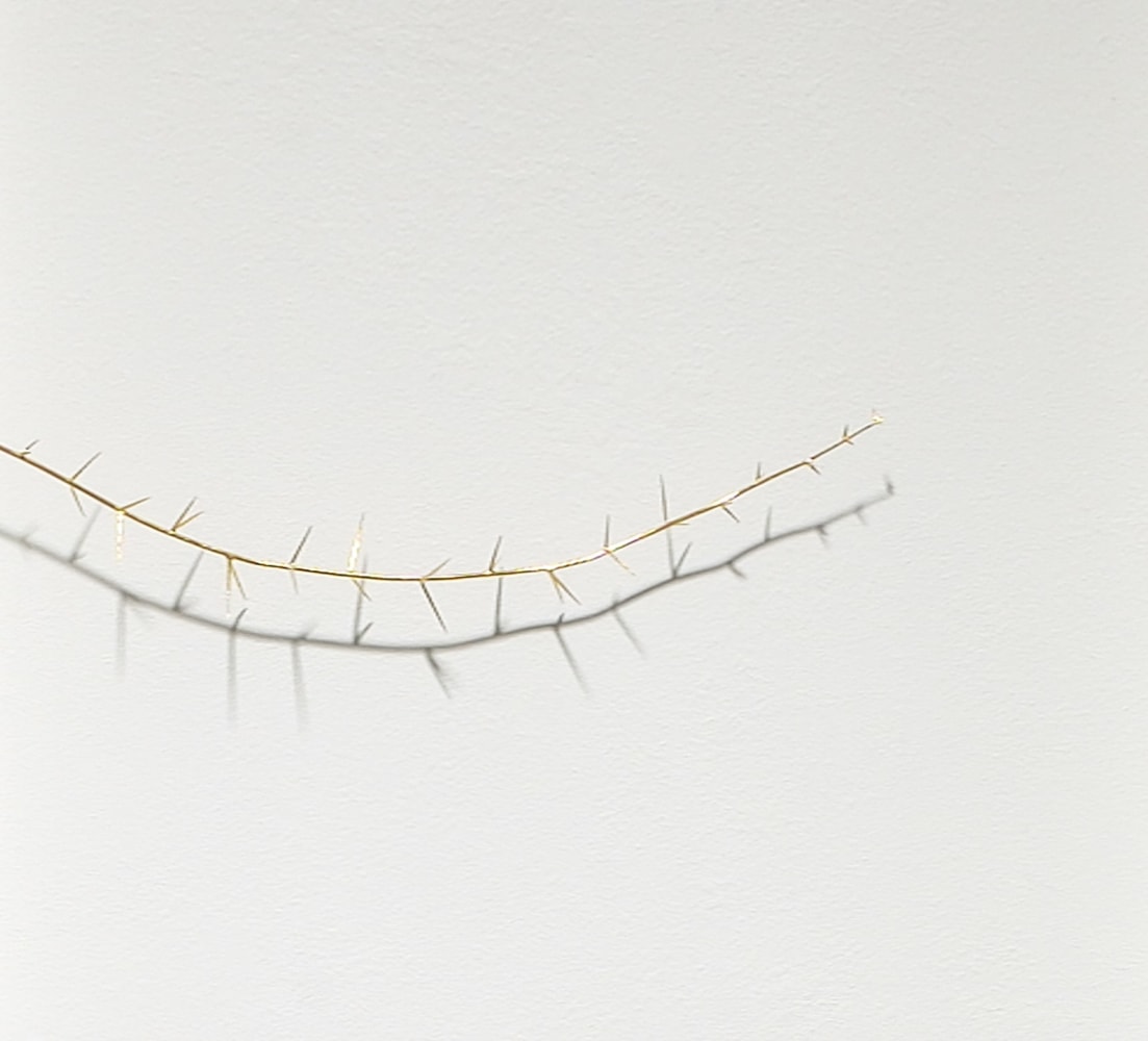 Golden Thorn (Detail)
