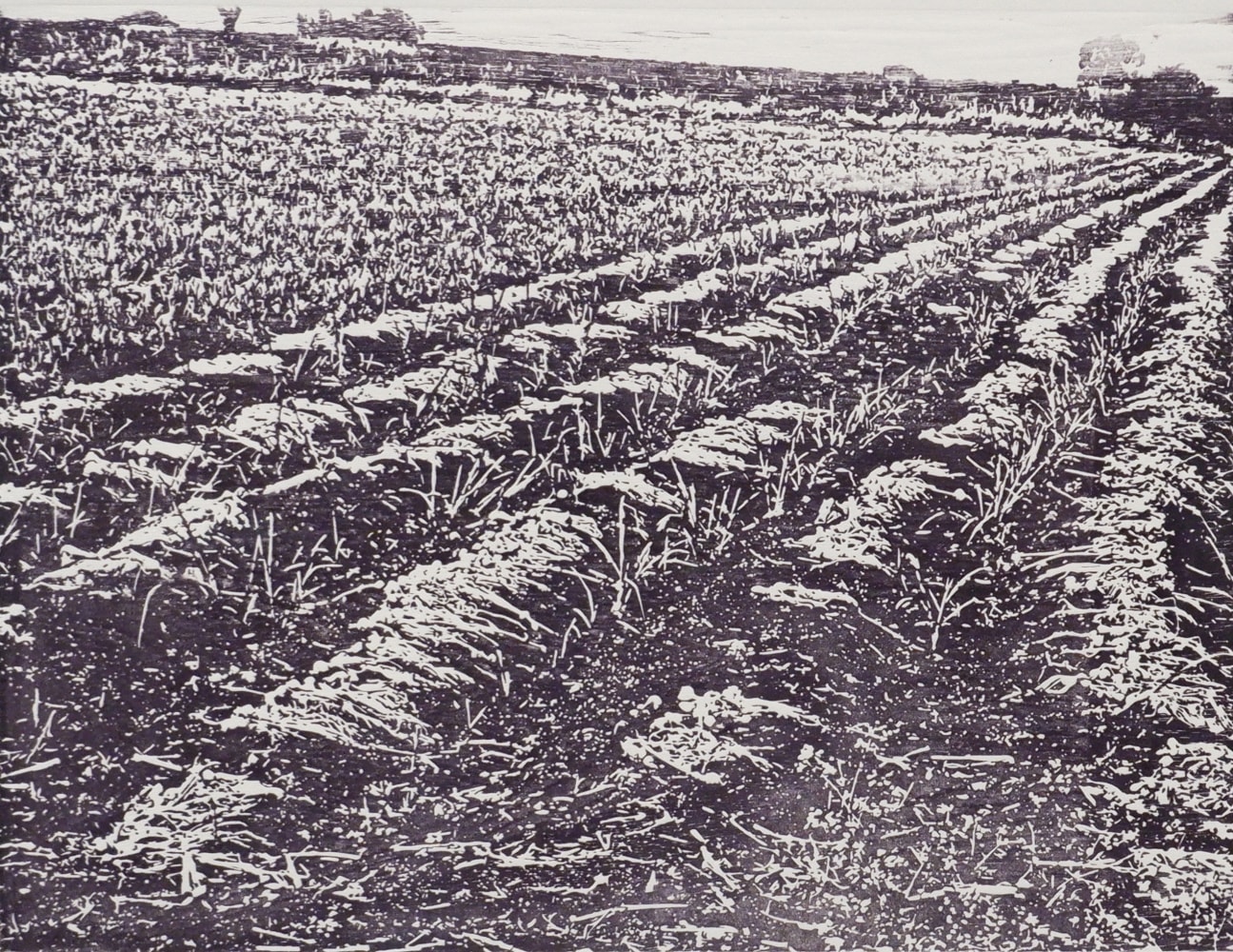 Postcards from my hometown (Detail)