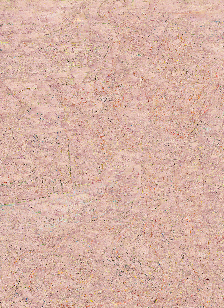 Secret Garden (mnwthx), 2010
C – Print
55" x 40"