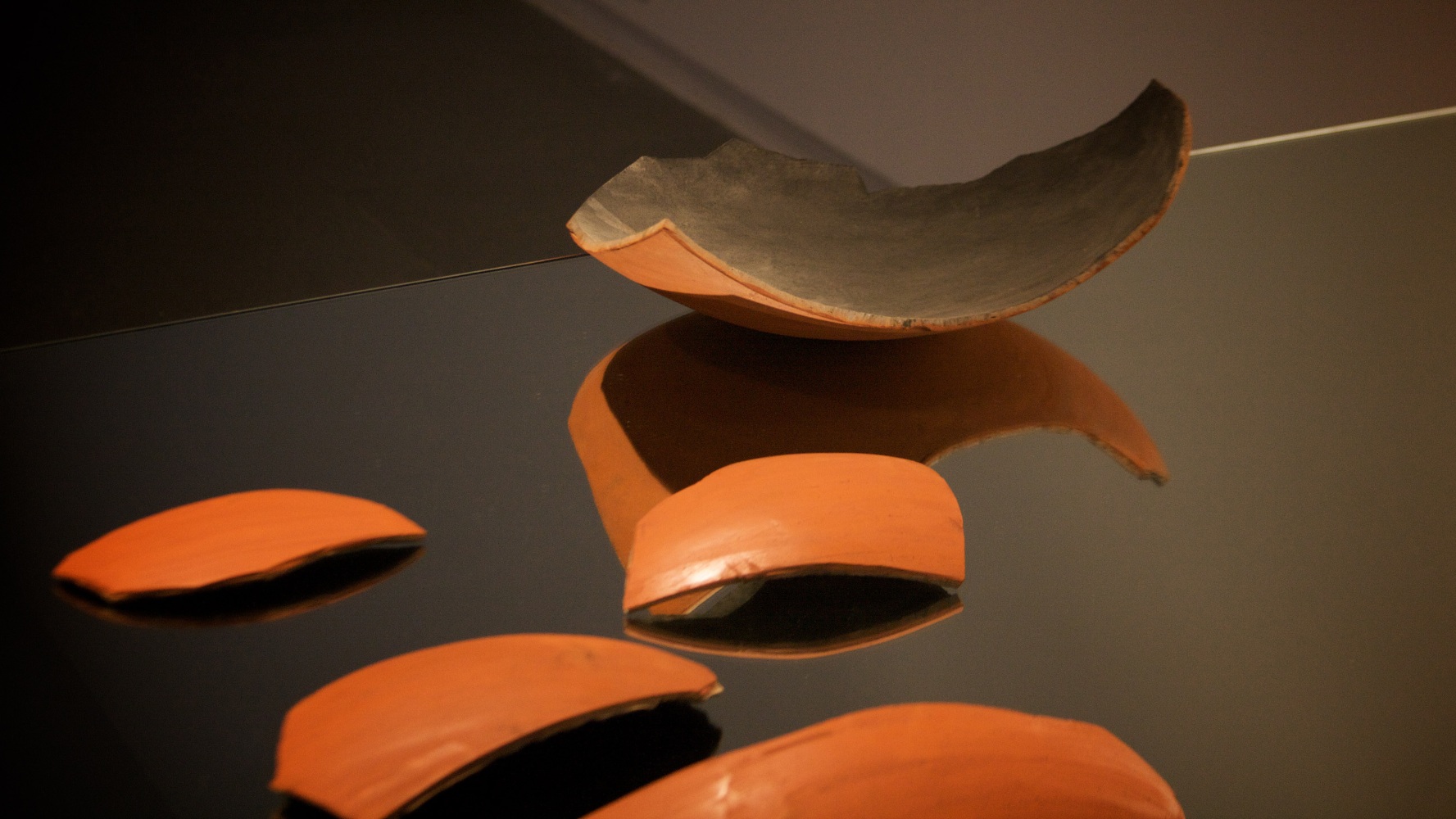 Dissected Projection (Detail)