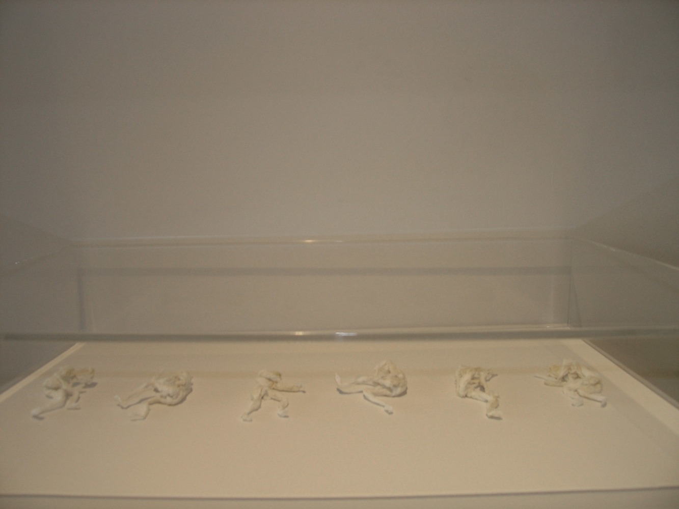 Allan deSouza
The Little Deaths, 2004
Tissue paper, artist's sperm
26" x 16"