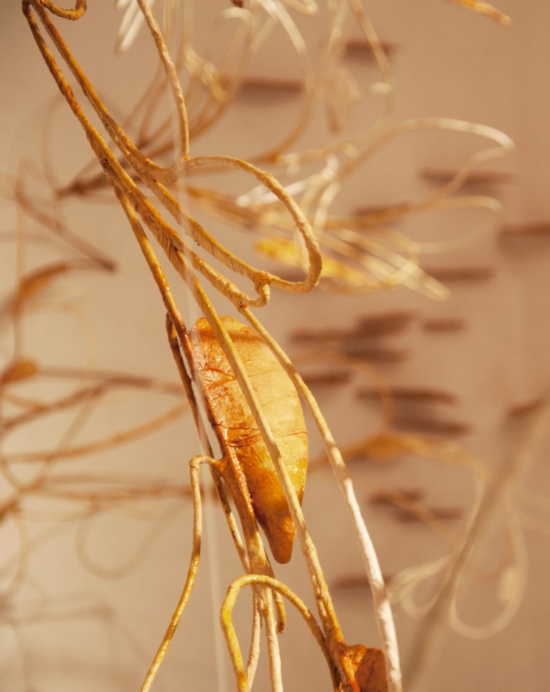 Scent of a Sound&amp;nbsp;(Detail)