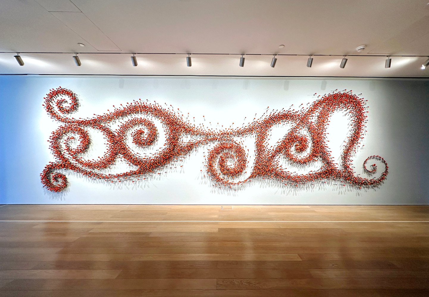 Sundew&amp;nbsp;| 2023