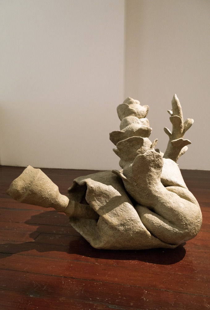 Rock Bloom | 2023
 