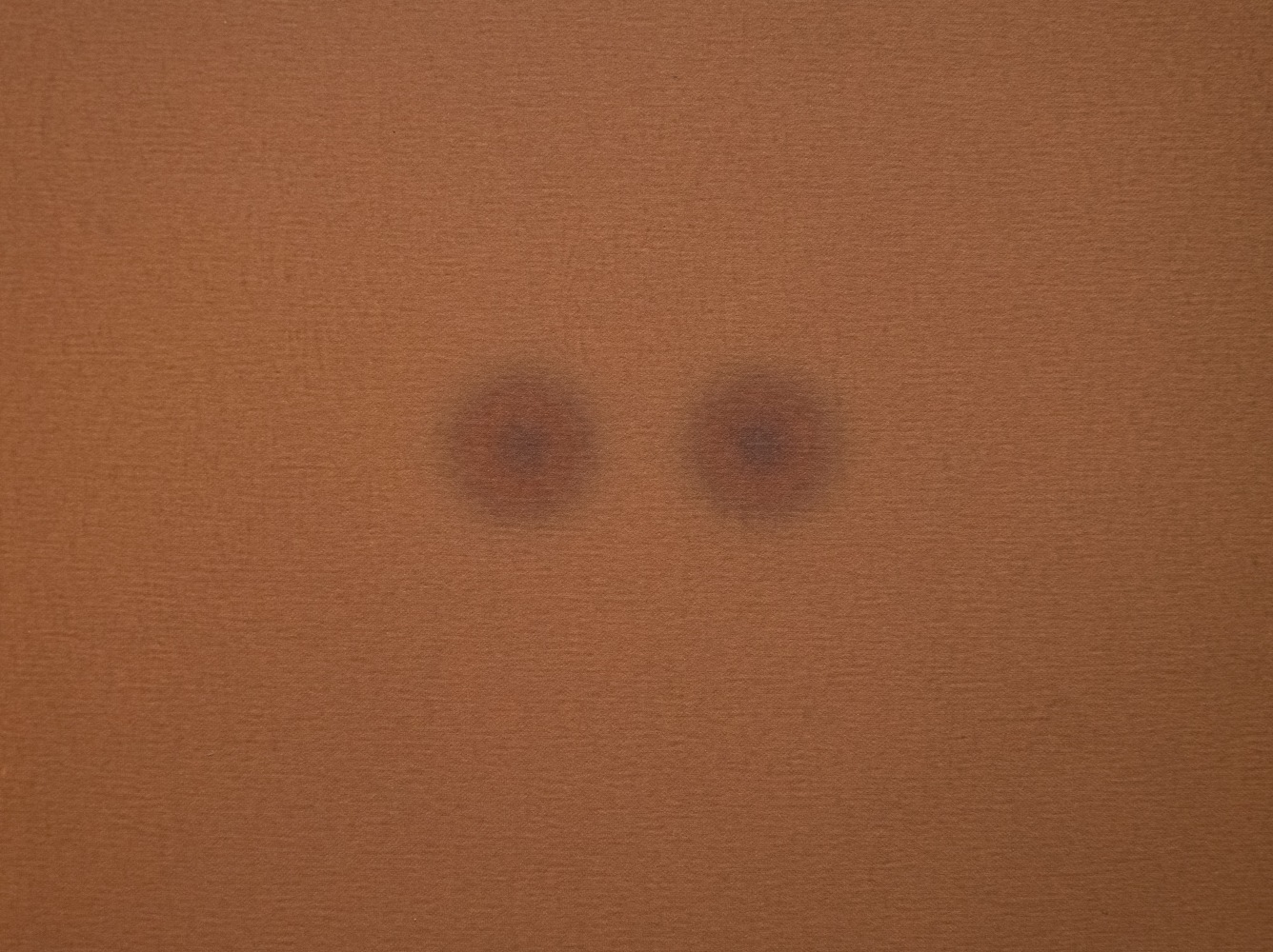 ALWAR BALASUBRAMANIAM
L.S. V (Detail)